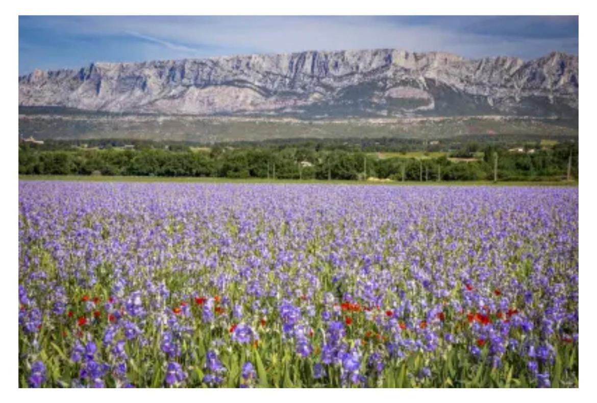 Aix-En-Provence, Cosy Studio Proche Toutes Commodites, Linges Fournis Екстер'єр фото